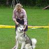 DCNH Clubschau 2011 146